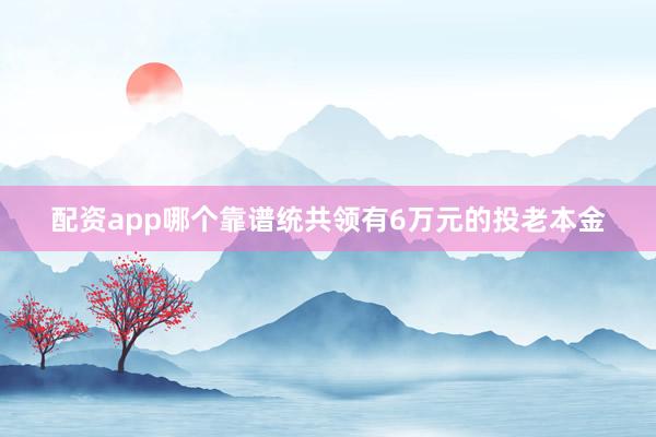 配资app哪个靠谱统共领有6万元的投老本金
