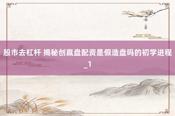 股市去杠杆 揭秘创赢盘配资是假造盘吗的初学进程_1