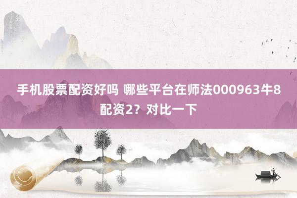 手机股票配资好吗 哪些平台在师法000963牛8配资2?对比一下